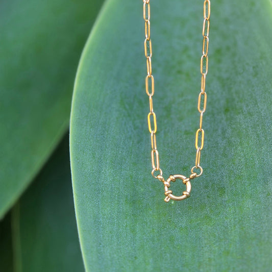 Paperclip chain gold necklace with a green leaf background