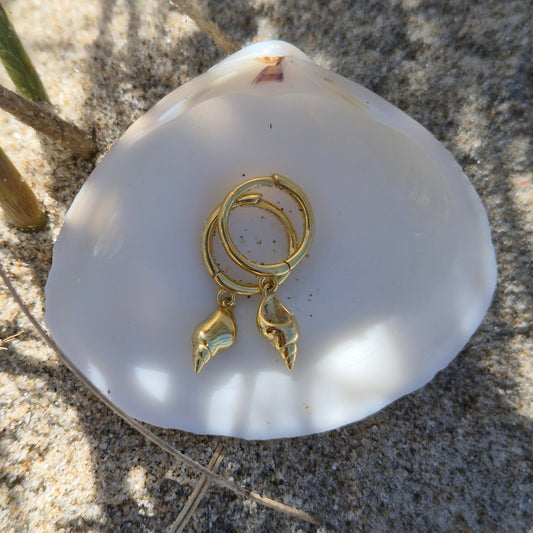 Sorella of May Ocean gold earring in a shell